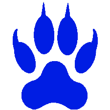 paw-6 copy